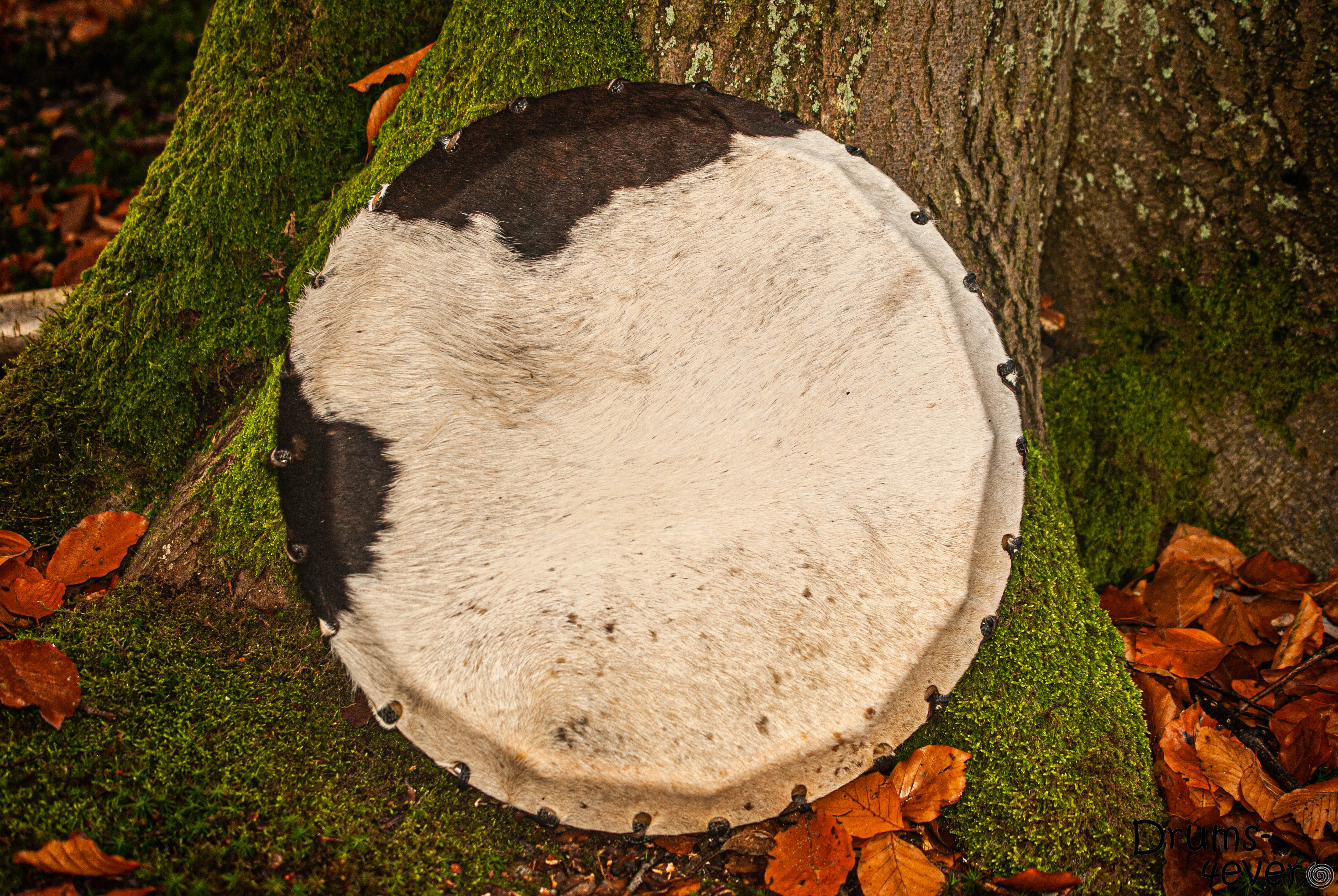 Kleine Drum (40 cm Ø) van rundsleer